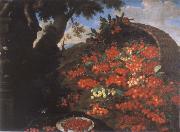 Bartolomeo Bimbi Cherries oil painting artist